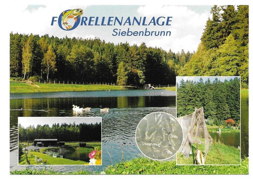 9651 siebenbrunn vogtl - 9651,